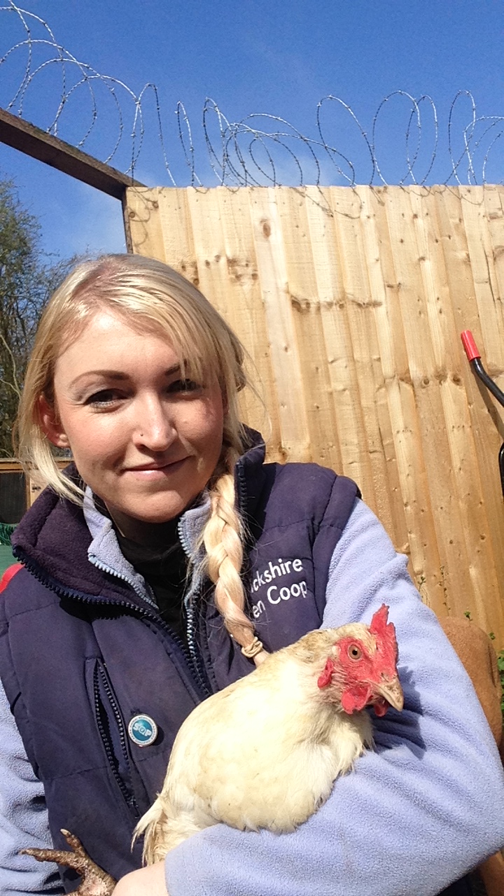 warwickshirechickencoop | Blog about Chickens For Sale in Warwickshire